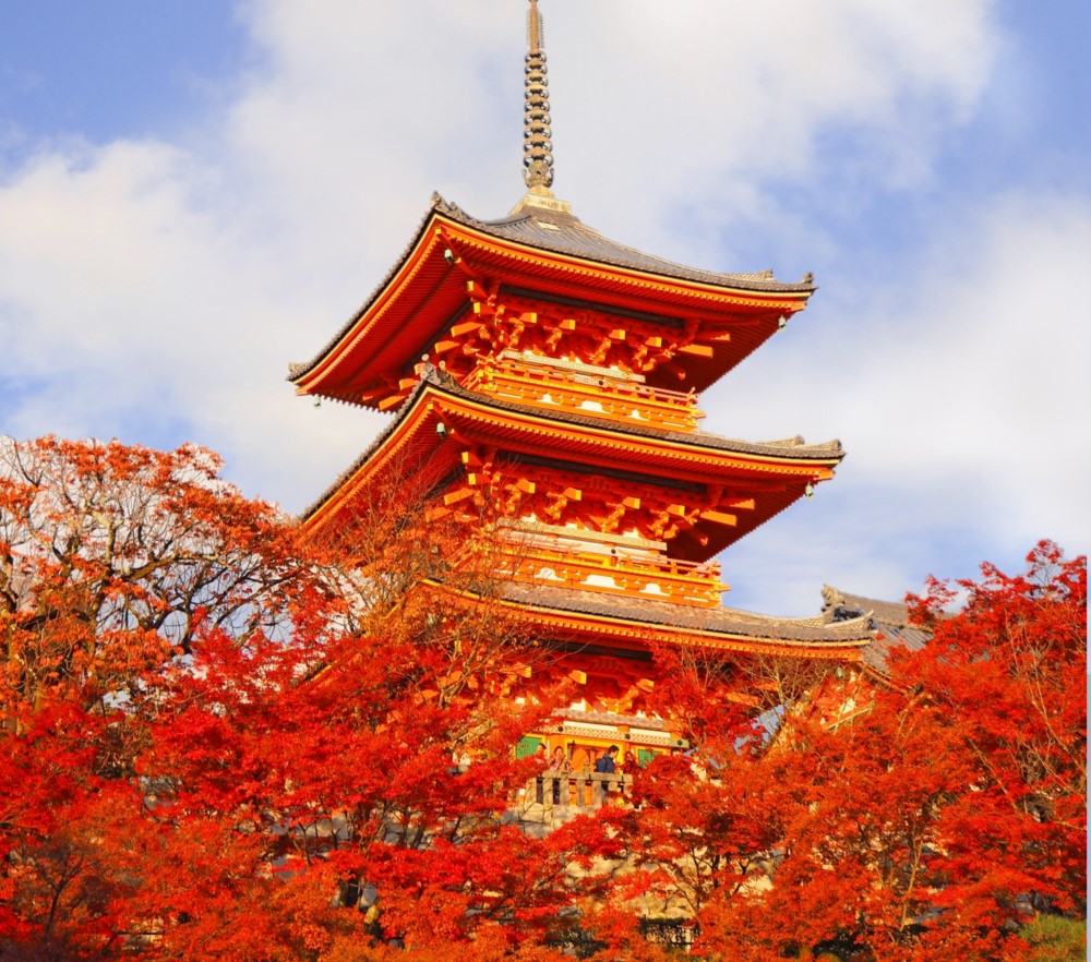 Autumn Leaf Tours in Japan